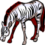 Zebra 08