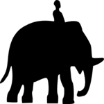 Person on Elephant