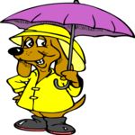 Dog in Raincoat 1