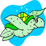 Turtle Swimming 2