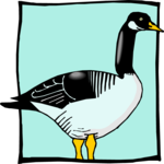 Duck 36