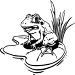 Frog 10