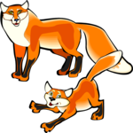 Fox 06