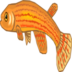 Killifish 14