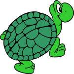 Turtle 17