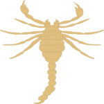 Scorpion 3