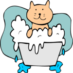 Cat in Bath