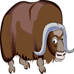 Musk Ox 2