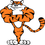 Tiger - Muscular