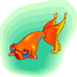 Goldfish 12