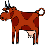 Cow 10