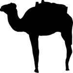 Camel 2