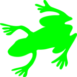 Frog 10