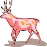 Deer 15