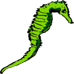 Seahorse