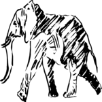 Elephant 3