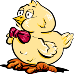 Chick - Plump 1