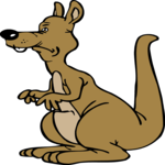 Kangaroo 8