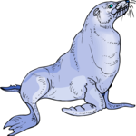 Sea Lion 6