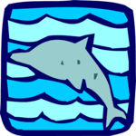Dolphin 2