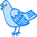 Bird 18