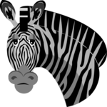 Zebra 01