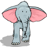 Elephant 21