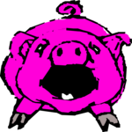 Pig 06