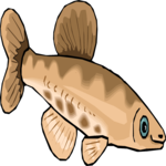 Fish 222