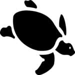 Turtle 3