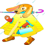 Dog in Raincoat 2