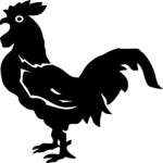 Rooster