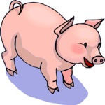 Pig 28