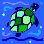 Turtle 24
