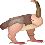 Eurryapteryx