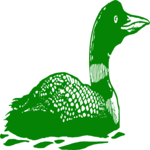 Duck 10