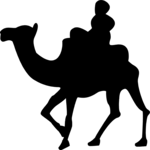 Person on Camel