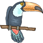 Toucan 12