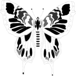 Butterfly 014