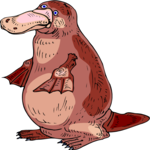 Platypus 4