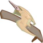 Pterodactylus 2
