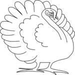 Turkey 02