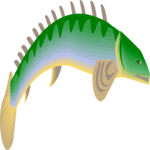 Fish 091