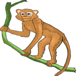 Monkey 14