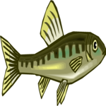 Fish 242