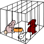 Rabbits in Cage