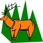 Deer 8