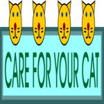 Care For Your Cat