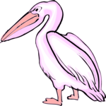 Pelican 05