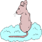 On Cloud - Rat